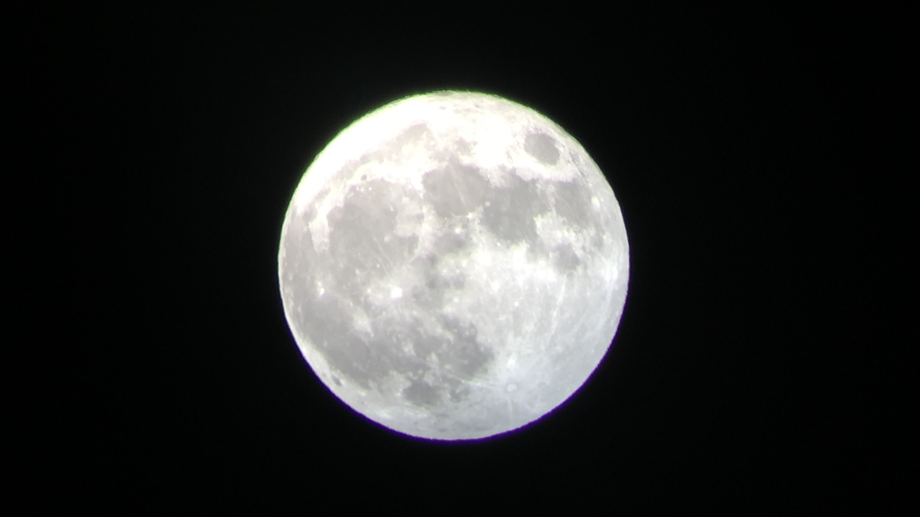 Melina Jurčić Melinadigital Foto