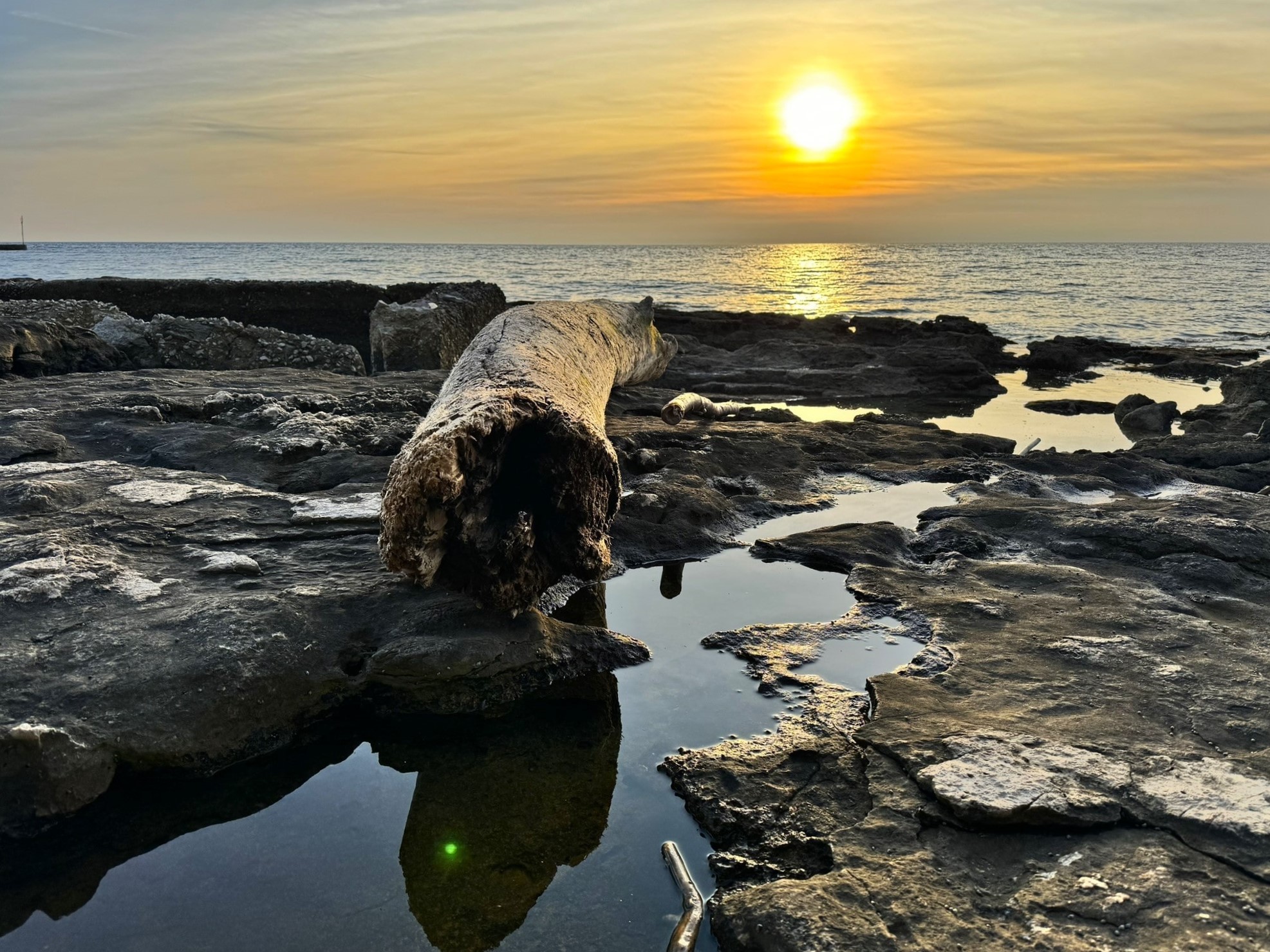Melina Jurčić Melinadigital Foto