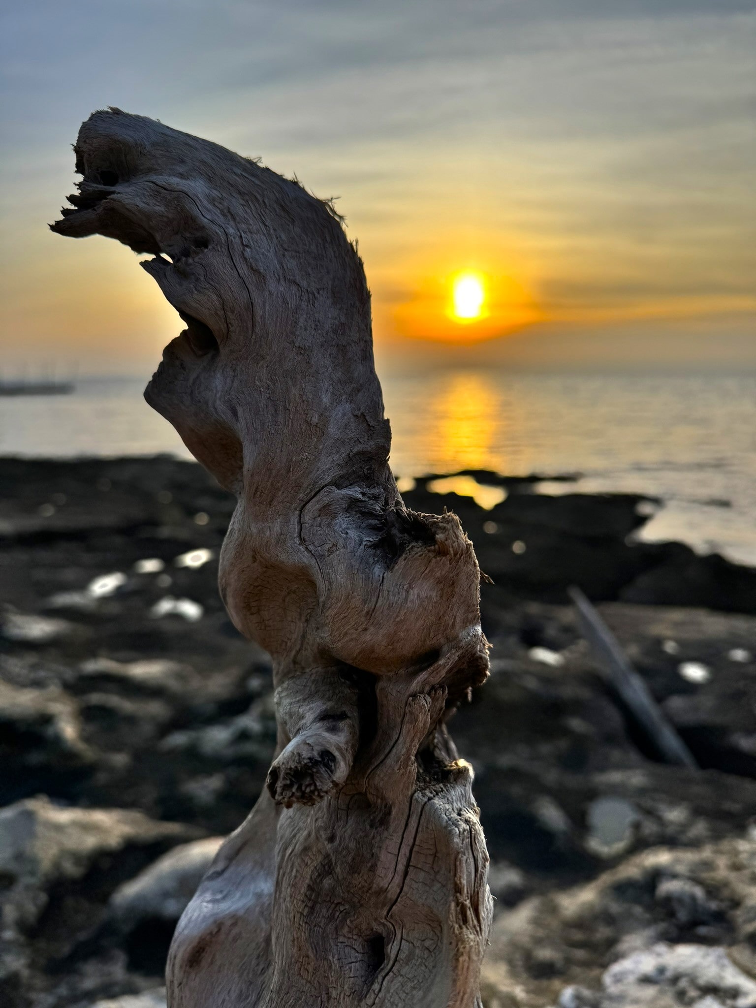 Melina Jurčić Melinadigital Foto