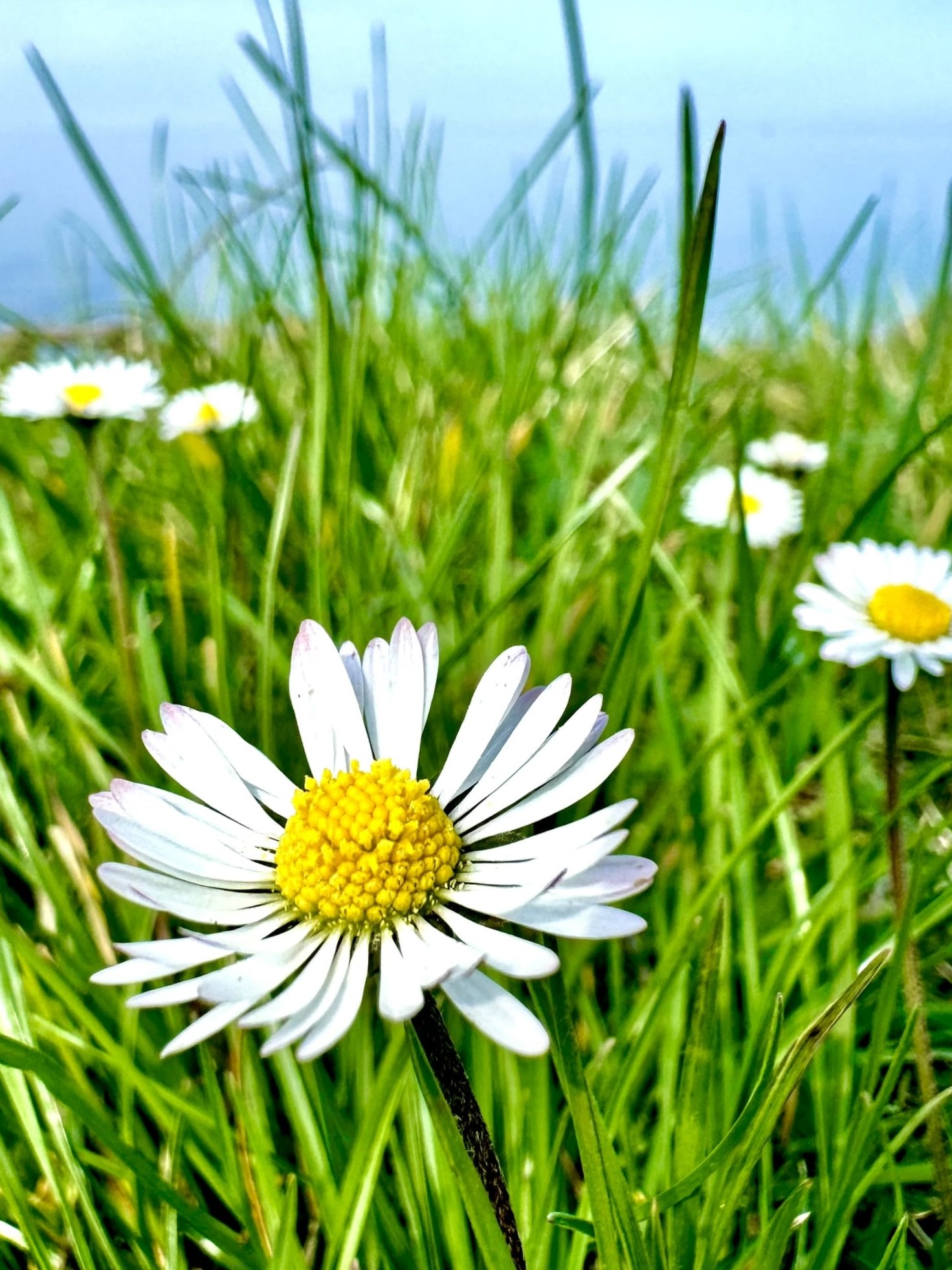 Melina Jurčić Melinadigital Foto