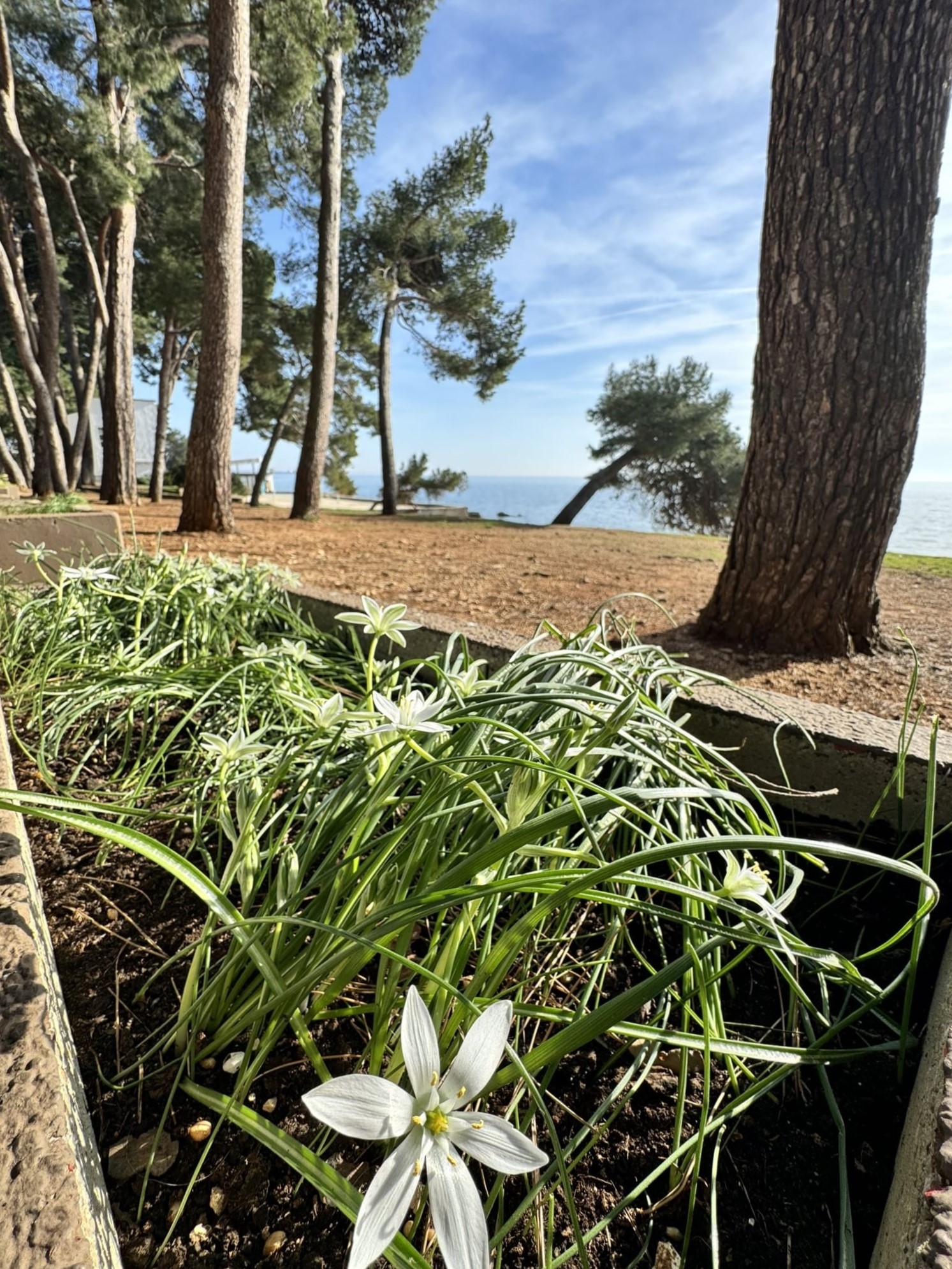 Melina Jurčić Melinadigital Foto