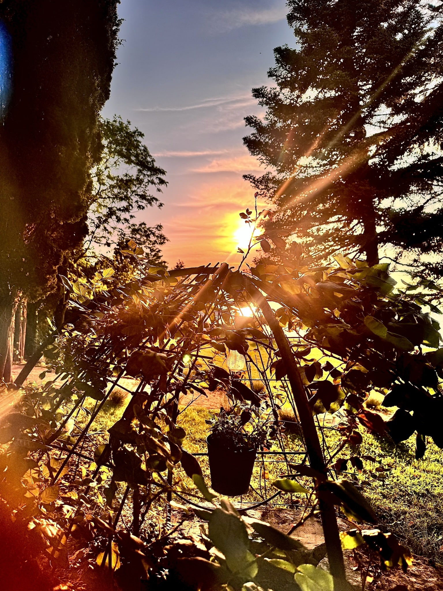 Melina Jurčić Melinadigital Foto