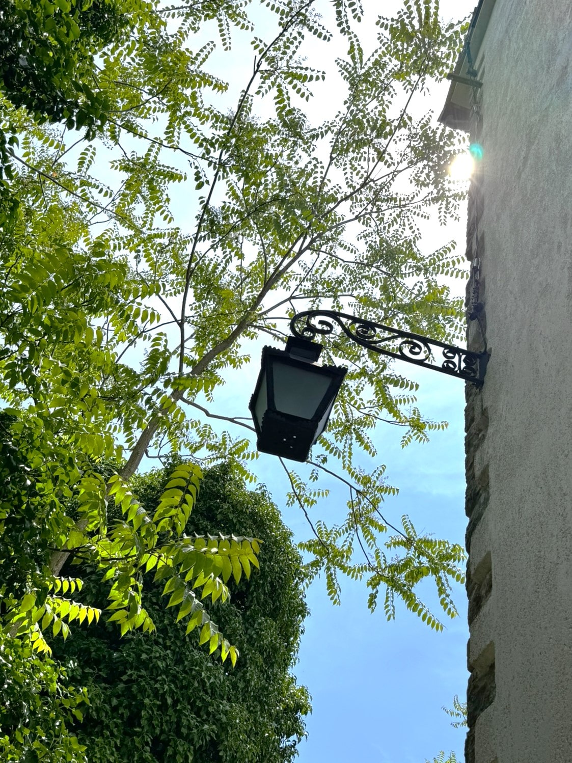 Melina Jurčić Melinadigital Foto