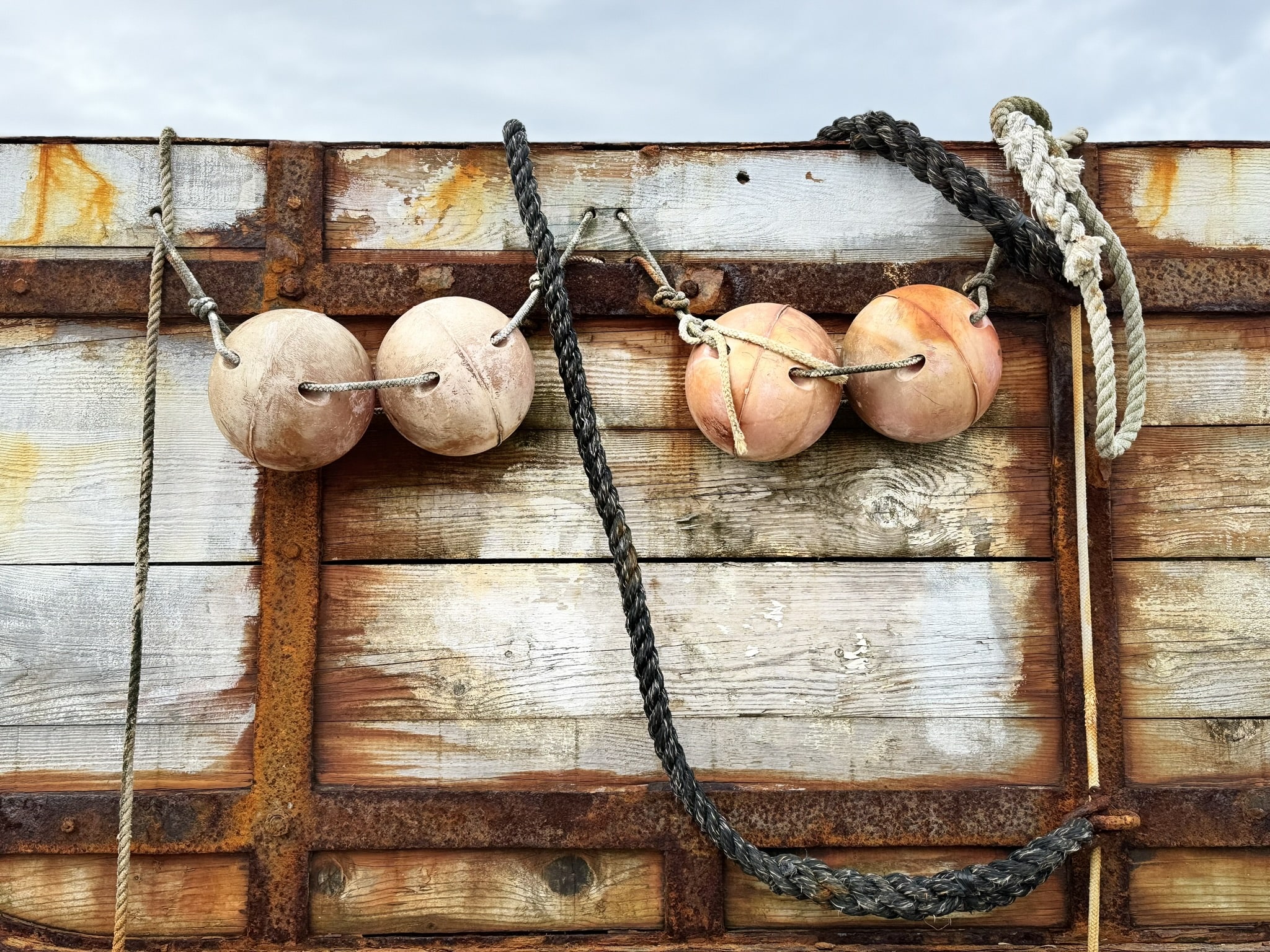 Melina Jurčić Melinadigital Foto