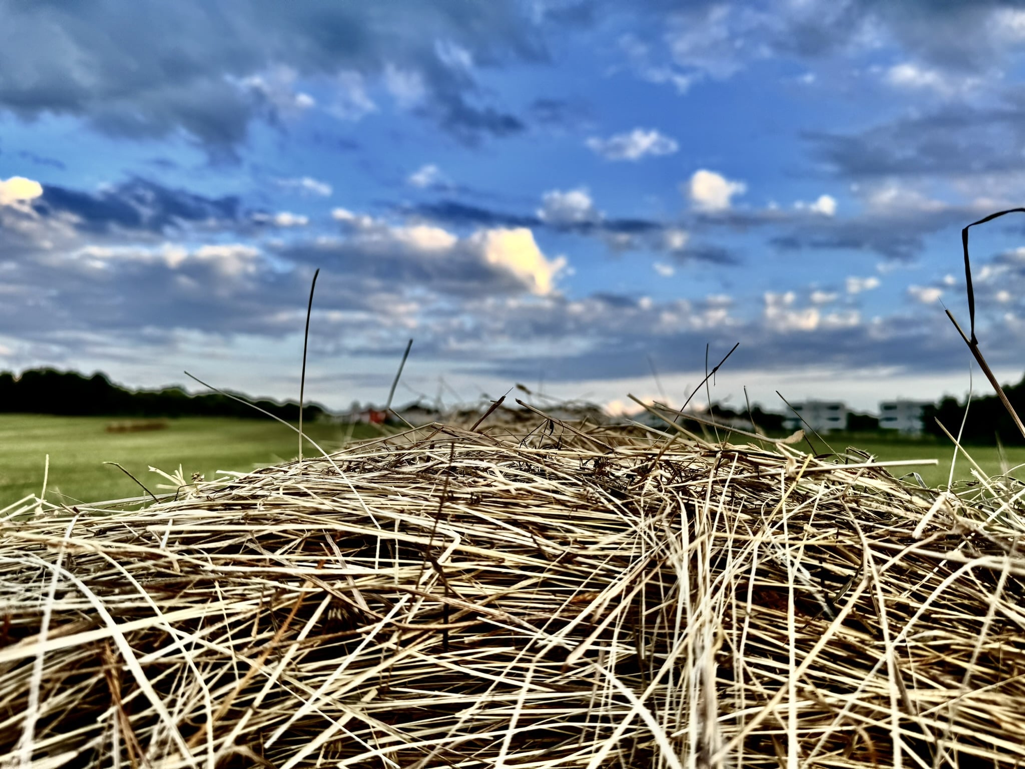 Melina Jurčić Melinadigital Foto