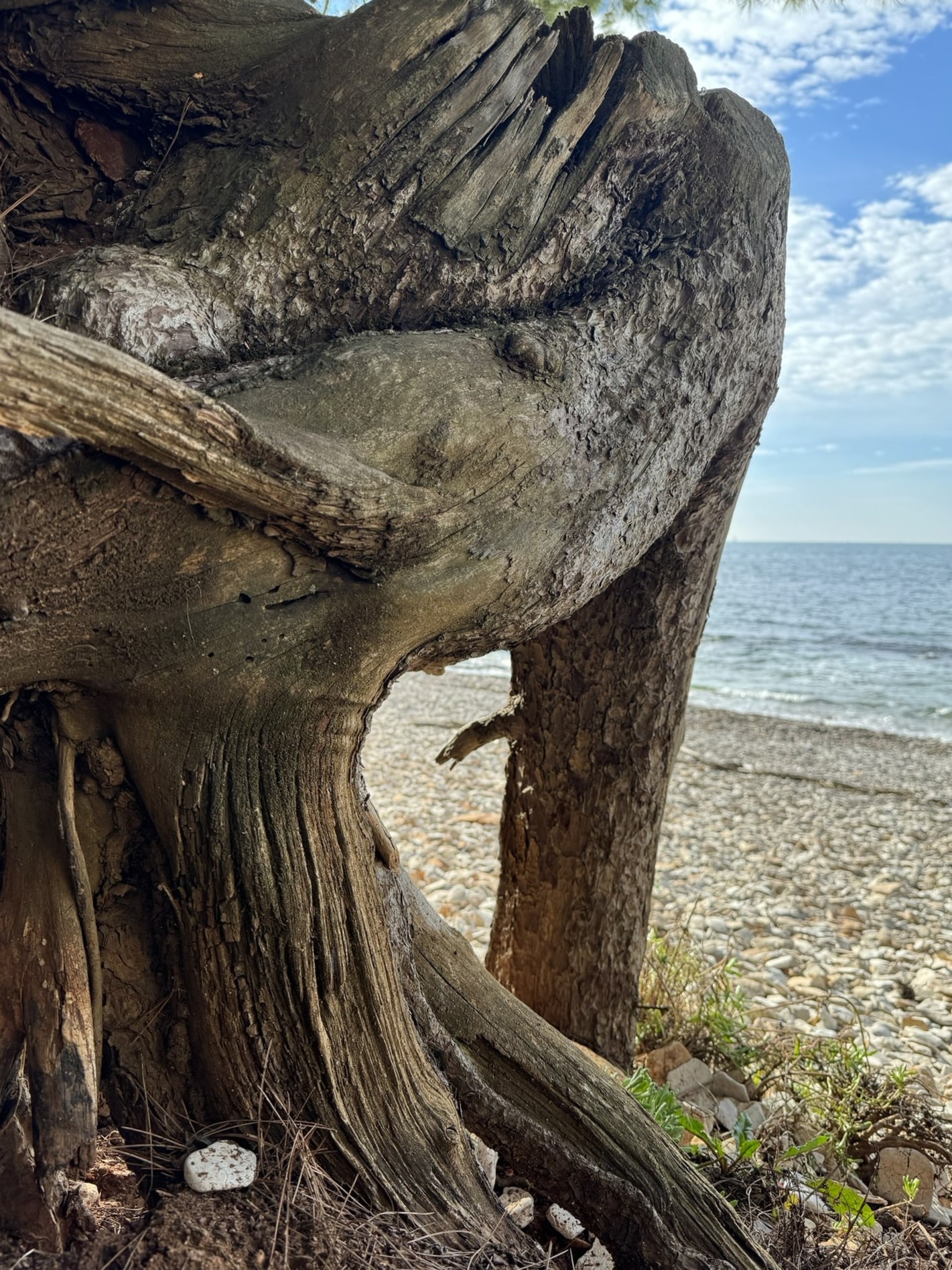 Melina Jurčić Melinadigital Foto